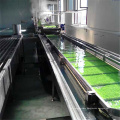 Automatic Fruit and Vegetable Production Line